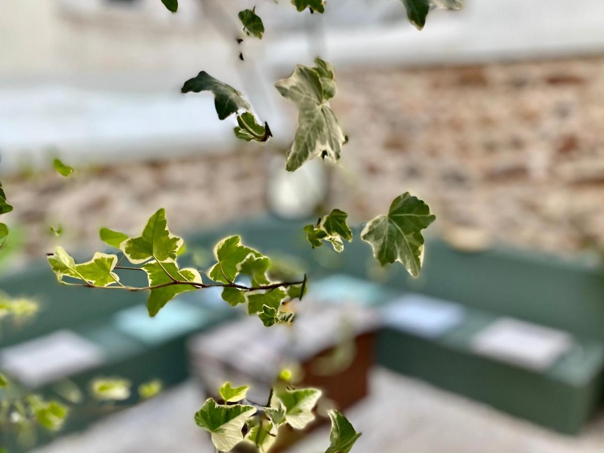 Five Brand New Boutique Apartments Central Athens Luaran gambar